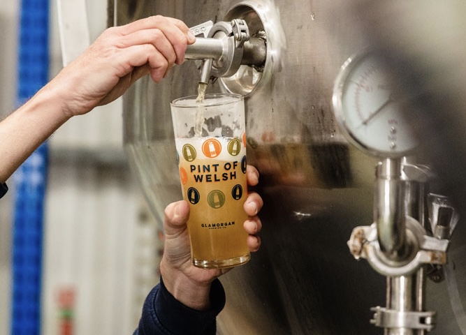 Fresh Glamorgan pint poured at a Welsh pub